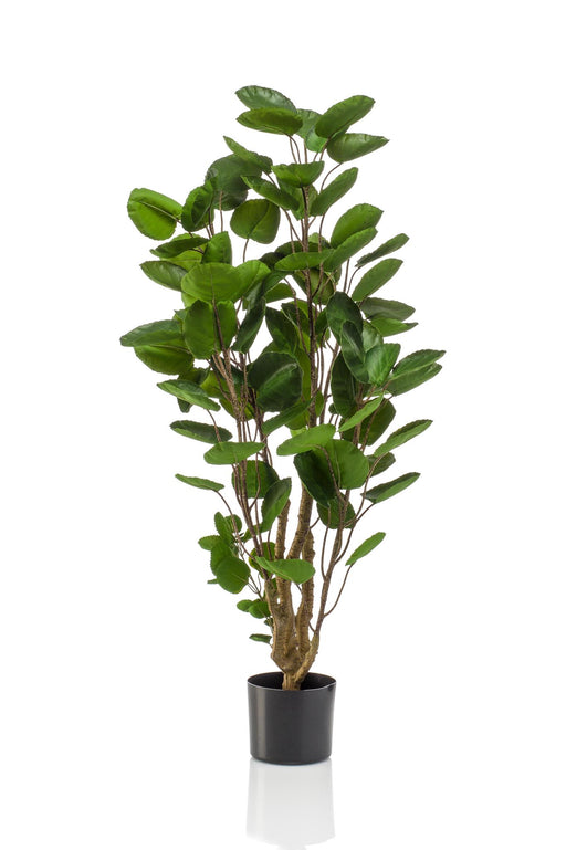 kunstplant-polyscias-aralia-105-cm