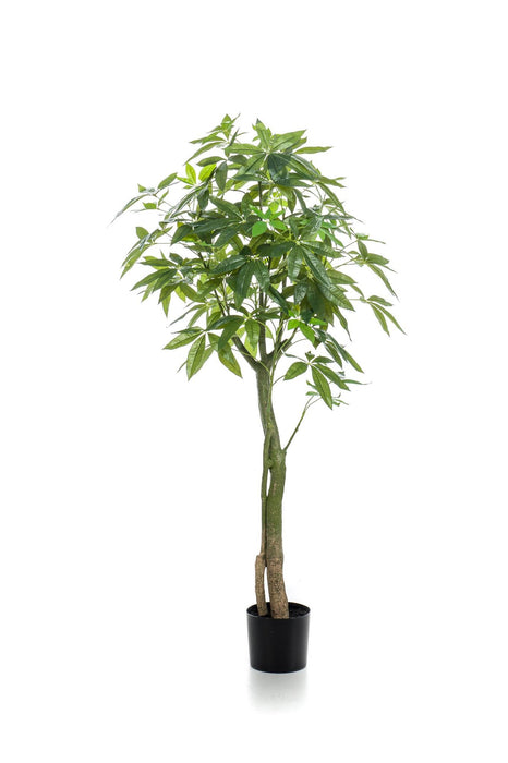 kunstplant-pachira-aquatica-geldboom-150-cm