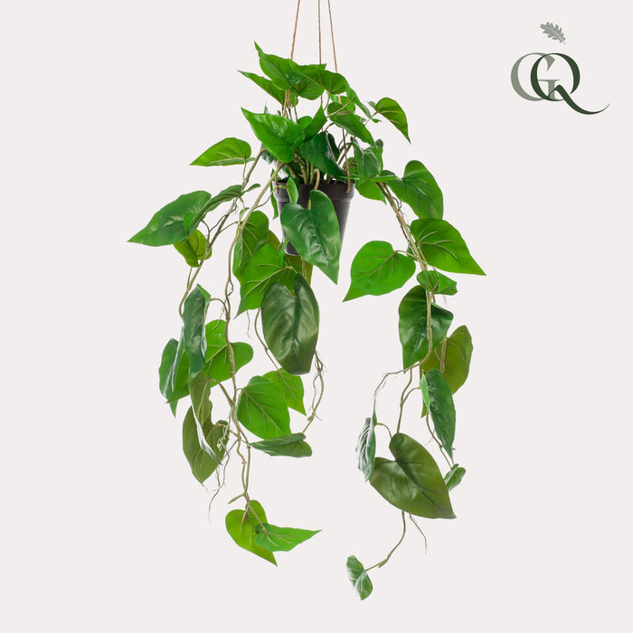 kunstplant-philodendron-scandens-klimmende-boomliefhebber-80-cm