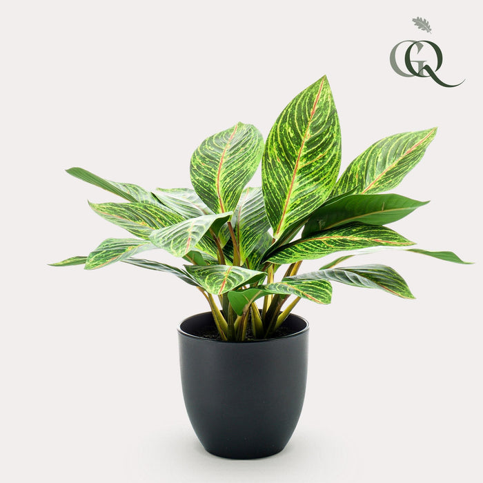 kunstplant-croton-codiaeum-wonderstruik-38-cm