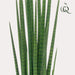 kunstplant-sanseveria-cylindrica-vrouwentong-70-cm