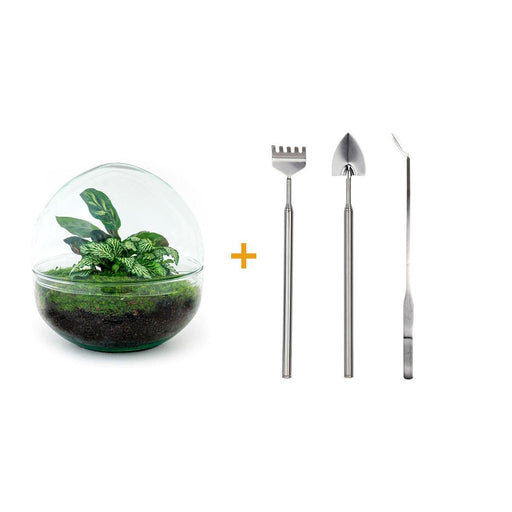 diy-terrarium-dome-↕-20-cm-rake-shovel-tweezer