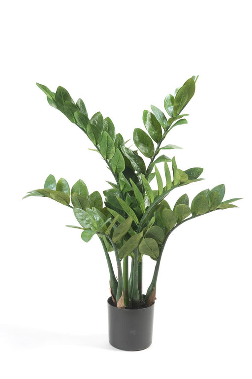 kunstplant-zamioculcas-kamerpalm-70-cm