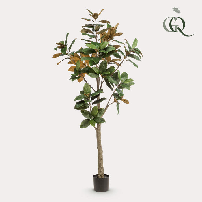 kunstplant-180-cm-magnolia-grandiflora