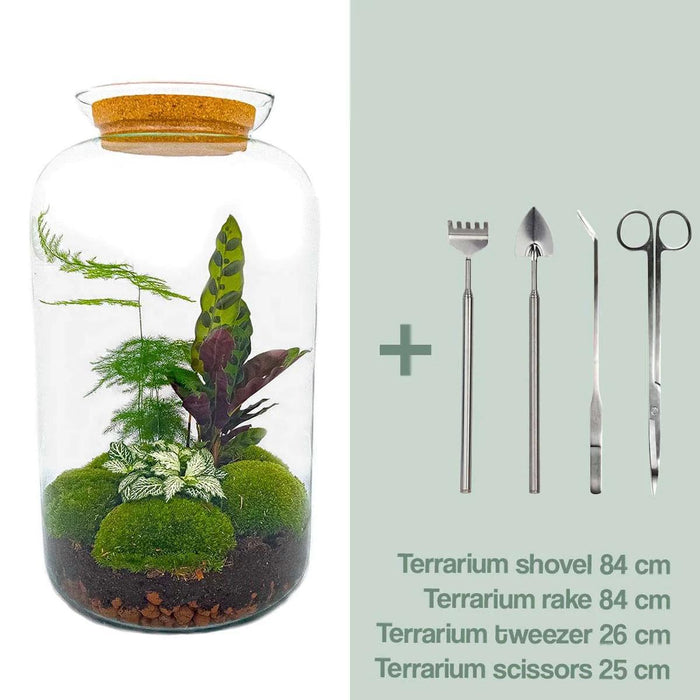 diy-terrarium-botanical-sven-xl-↕-43-cm-rake-shovel-tweezer-scissors