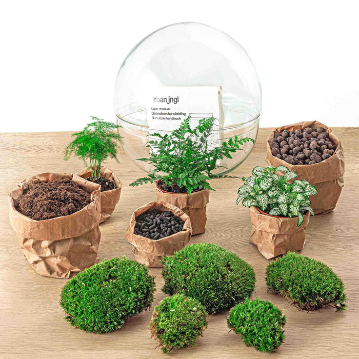 diy-terrarium-dome-xl-↕-30-cm-rake-shovel-tweezer-scissors