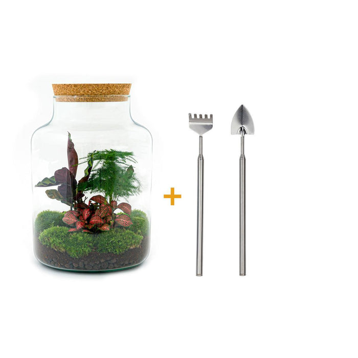 diy-terrarium-milky-↕-30-cm-rake-shovel