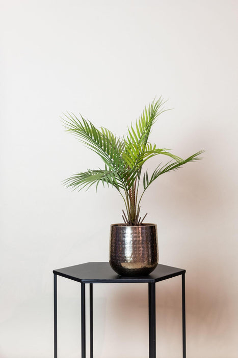 kunstplant-chamaedorea-bergpalm-50-cm