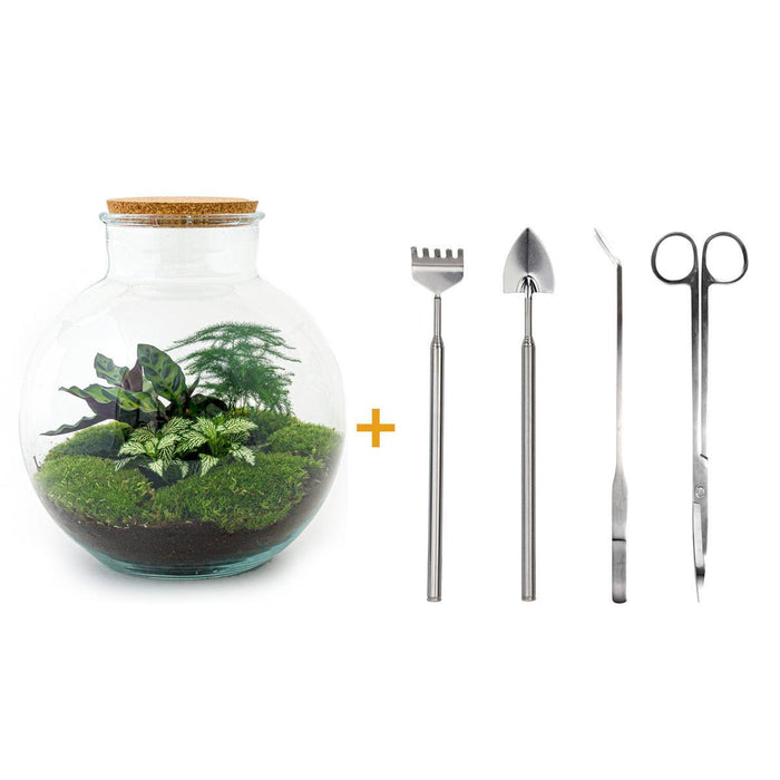 diy-terrarium-bolder-bob-↕-30-cm-rake-shovel-tweezer-scissors