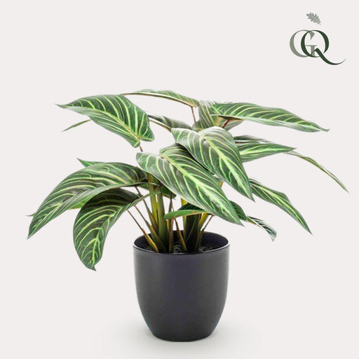 kunstplant-calathea-zebrina-schaduwplant-38-cm