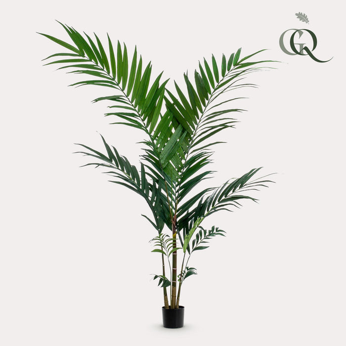 kunstplant-kentia-kentiapalm-150cm