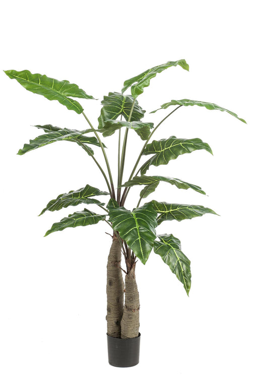 kunstplant-alocasia-olifantsoor-150-cm