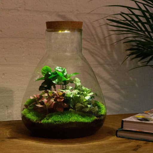 diy-terrarium-sam-coffea-met-lamp-↕-30-cm-rake-shovel-tweezer-scissors