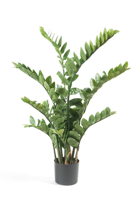 kunstplant-zamioculcas-kamerpalm-110-cm