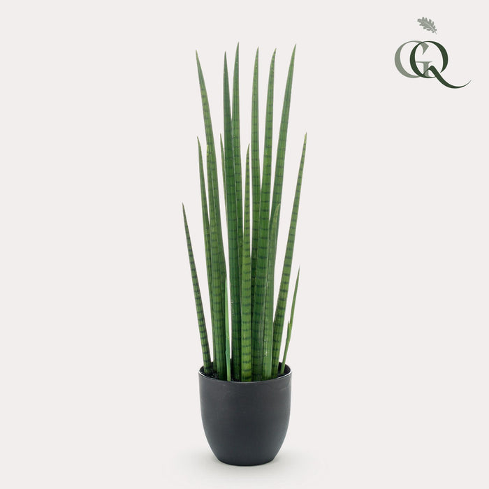 kunstplant-sanseveria-cylindrica-vrouwentong-70-cm