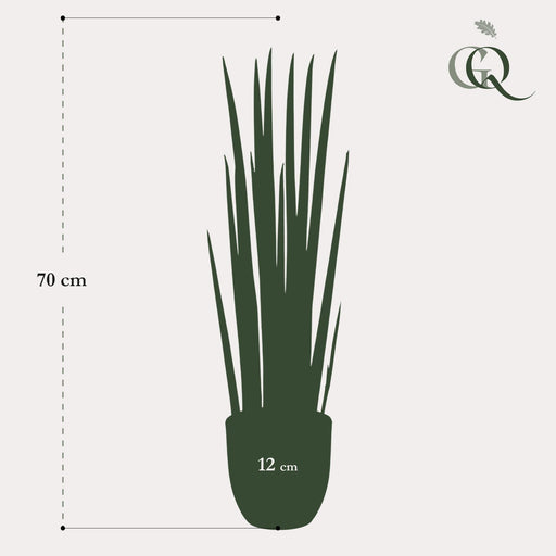 kunstplant-sanseveria-cylindrica-vrouwentong-70-cm