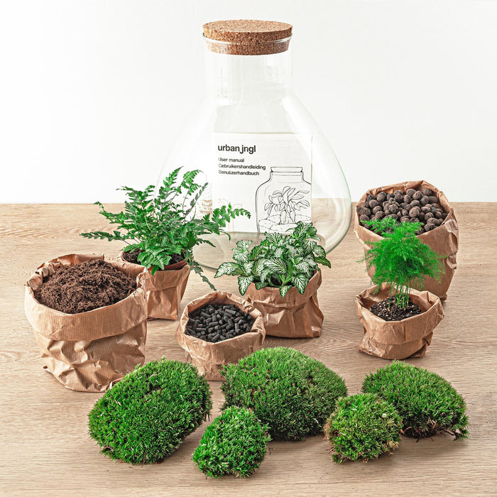 diy-terrarium-sam-xl-↕-35-cm-normal