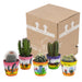 cactus-mix-5-5-cm-5x-in-mexicaanse-pot