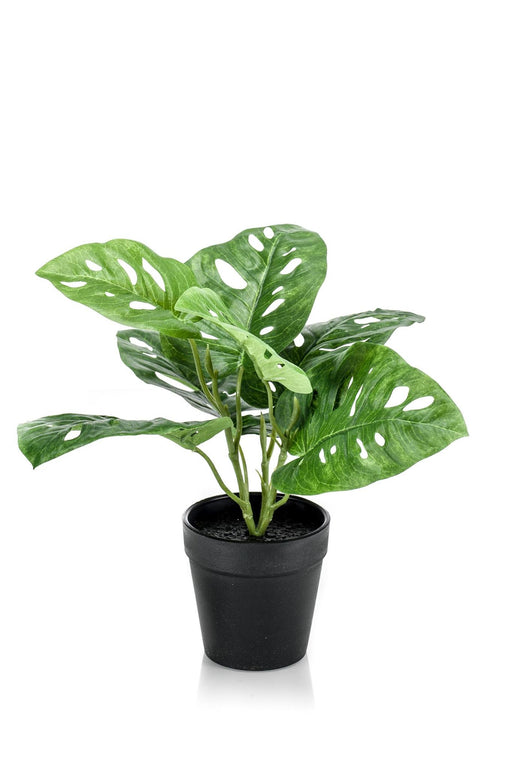 kunstplanten-monstera-monkey-gatenplant-29-cm