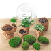 diy-terrarium-dome-xl-↕-30-cm-rake-shovel