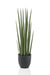 kunstplant-sanseveria-cylindrica-vrouwentong-70-cm