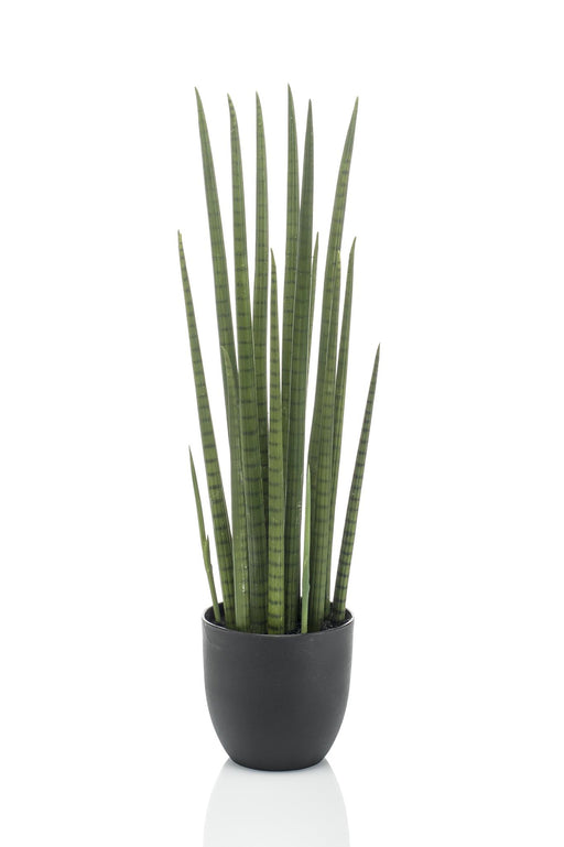 kunstplant-sanseveria-cylindrica-vrouwentong-70-cm