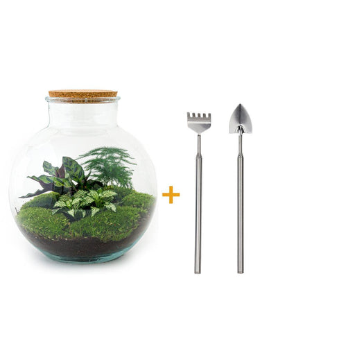 diy-terrarium-bolder-bob-↕-30-cm-rake-shovel