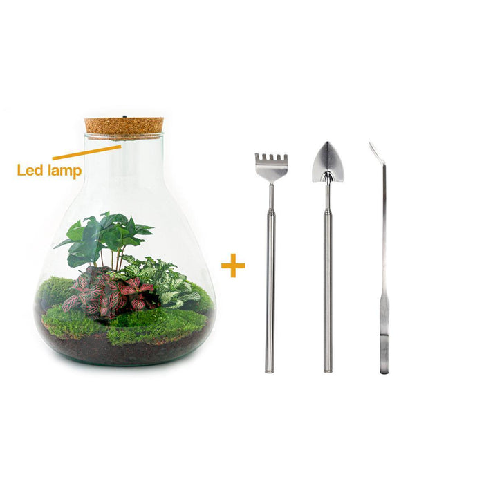 diy-terrarium-sam-coffea-met-lamp-↕-30-cm-rake-shovel-tweezer