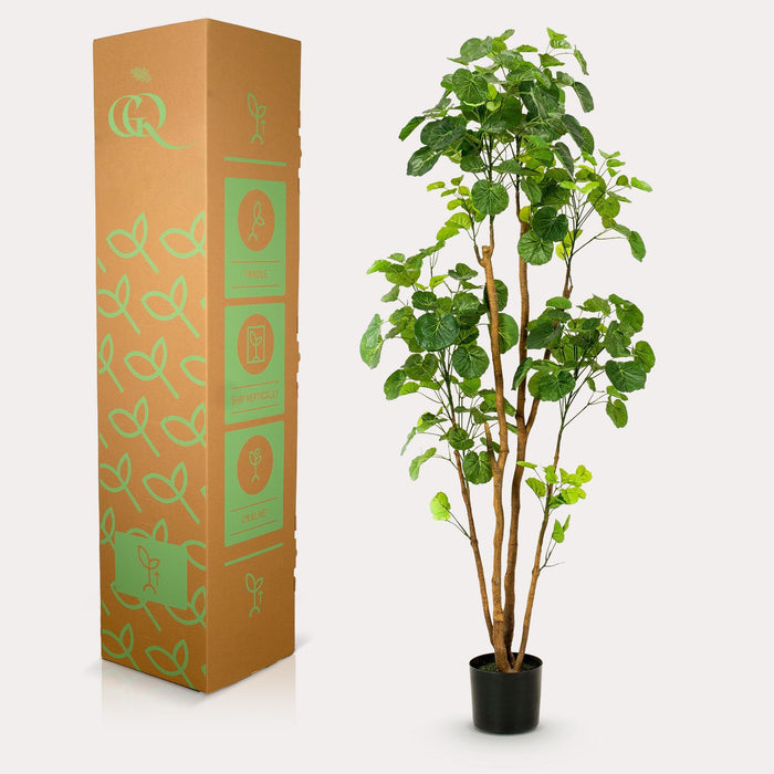 kunstplant-polyscias-aralia-160-cm