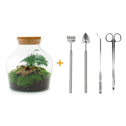 diy-terrarium-little-joe-↕-21-5-cm-rake-shovel-tweezer-scissors