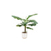 combi-deal-bananenplant-musa-inclusief-elho-jazz-round-wit-o23-100-cm