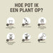 pokon-cactus-vetplant-5l-potgrond