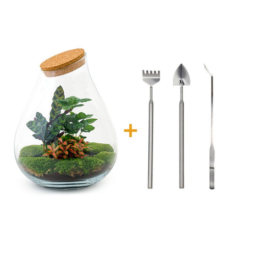 diy-terrarium-drop-xl-rood-↕-37-cm-rake-shovel-tweezer