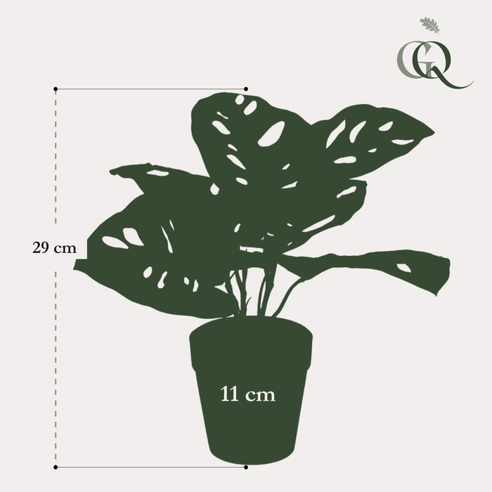 kunstplanten-monstera-monkey-gatenplant-29-cm