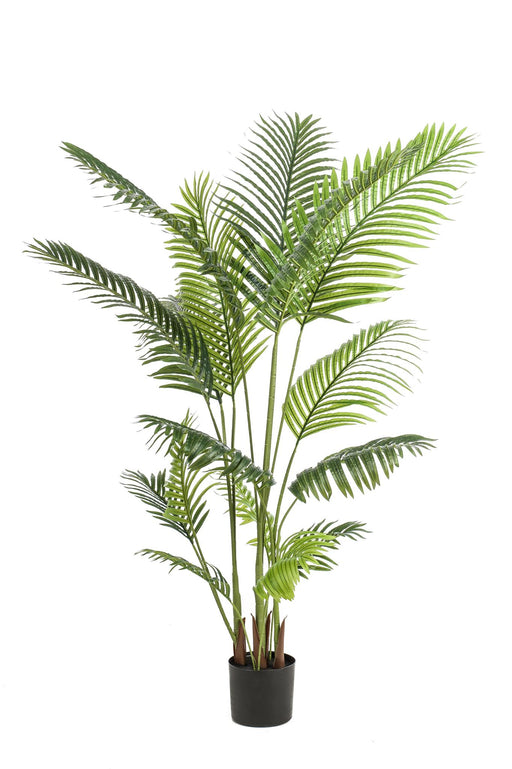 kunstplant-160-cm-howea-forsteriana