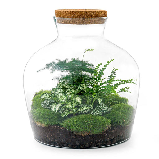 diy-terrarium-fat-joe-groen-↕-30-cm-normal