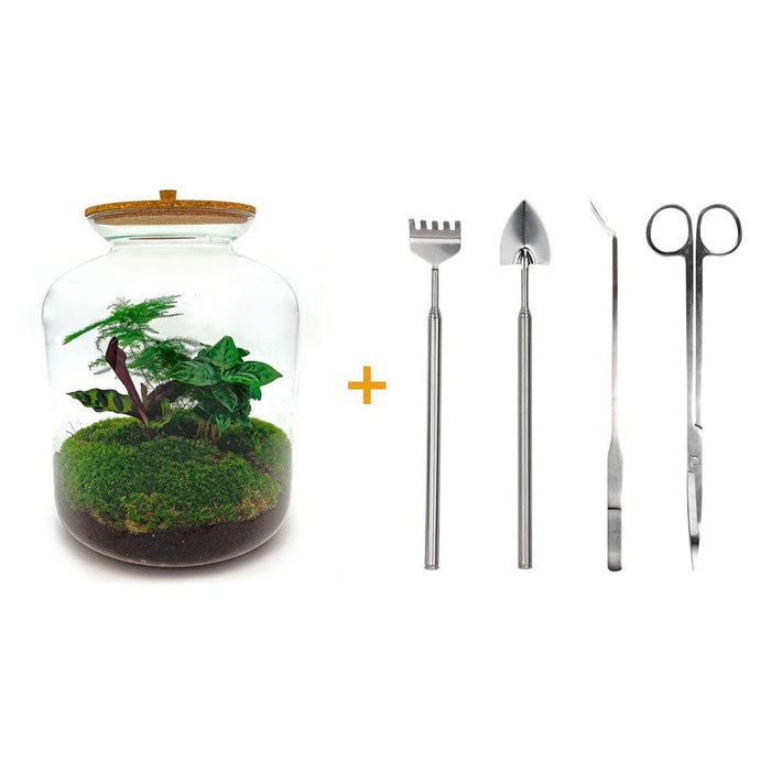 diy-terrarium-lukas-↕-33-cm-rake-shovel-tweezer-scissors