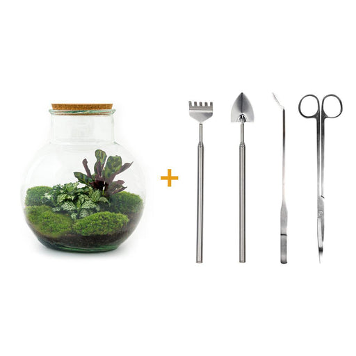 diy-terrarium-teddy-↕-26-5-cm-rake-shovel-tweezer-scissors