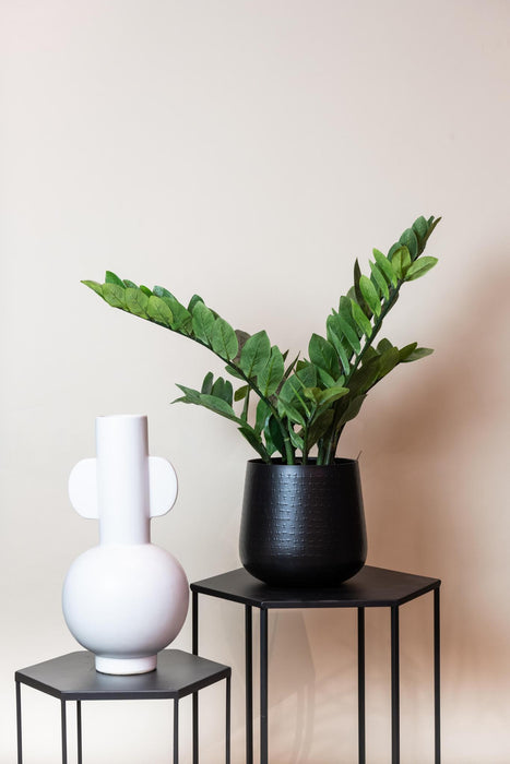 kunstplant-zamioculcas-kamerpalm-70-cm