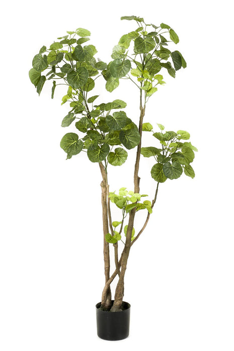 kunstplant-polyscias-aralia-140-cm