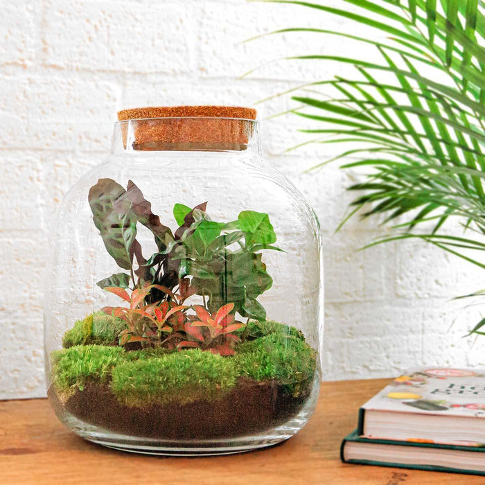 diy-terrarium-billie-botanical-↕-30-cm-rake-shovel