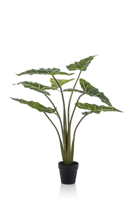 kunstplant-alocasia-frydek-olifantsoor-90-cm