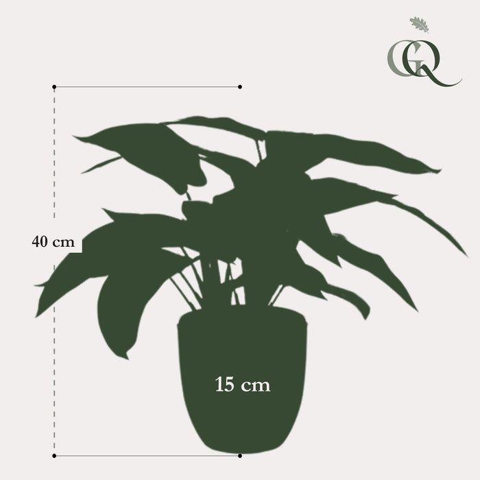 kunstplant-calathea-zebrina-schaduwplant-38-cm