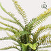 kunstplant-nephrolepis-exaltata-bostonvaren-55-cm