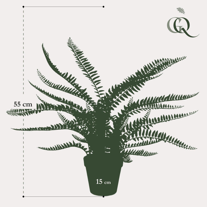 kunstplant-nephrolepis-exaltata-bostonvaren-55-cm