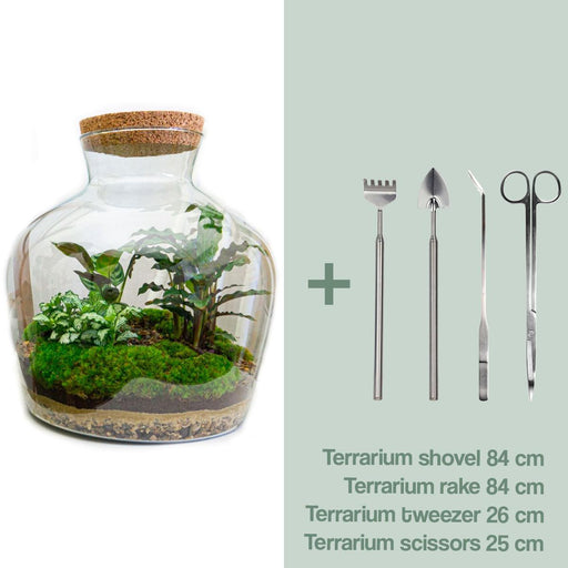 diy-terrarium-fat-joe-↕-30-cm-rake-shovel-tweezer-scissors