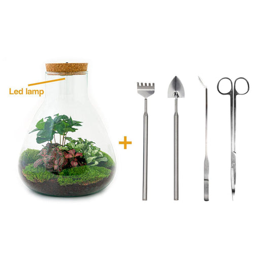 diy-terrarium-sam-coffea-met-lamp-↕-30-cm-rake-shovel-tweezer-scissors