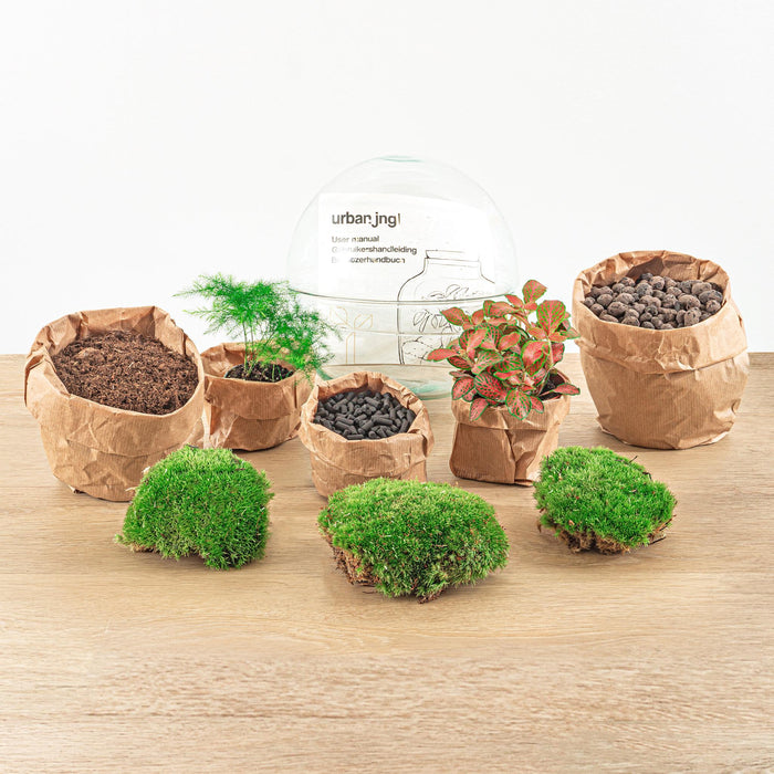 diy-terrarium-dome-red-↕-20-cm-normal