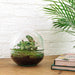 diy-terrarium-dome-↕-20-cm-rake-shovel-tweezer