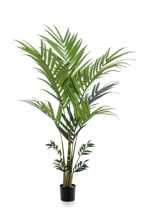 kunstplant-kentia-kentiapalm-180-cm